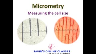 Micrometery : Measuring the cell size by ocular micrometer and stage micrometer