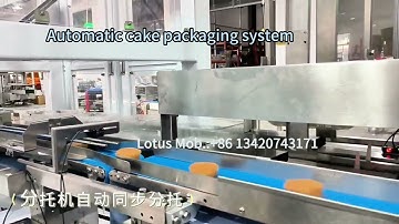 Fully Automated Cake Packaging System - The Future of Cake Packaging System