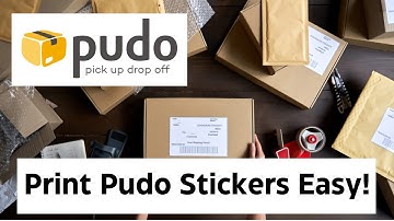 How to Print Pudo Sticker Waybills 2024 Tutorial