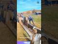 Veda Ko Sarsafai Garne Tarika Farming Technique 