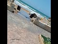 منتجع هوليدي بيتش بطرطوس تصويري البحر فيه بجنن منتجع هوليدي بيتش بطرطوس تصويري البحر فيه بجنن