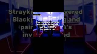 Stray Kids Support Blackpink When Mama Paint Face Red