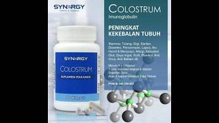 Colostrum Synergy Indonesia