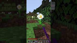 Minecraft, But Flowers are Extremely OP... #shorts