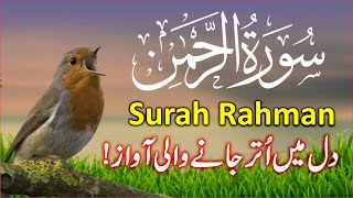 Surah Rahman Beautiful Quran Recitation | Surah AR Rehman Tilawat | سورۃ رحمن | Trimedia Ep1507