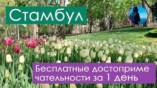 видео: 2024. Бесплатные достопримечательности Стамбула за 1 день картинка: 2024. Бесплатные достопримечательности Стамбула за 1 день