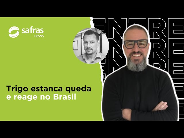 Alta internacional e oferta curta sustentam trigo no Brasil - Conversa com o Analista