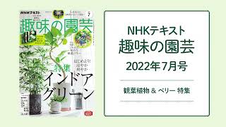 NHKテキスト『趣味の園芸』2022年7月号の紹介