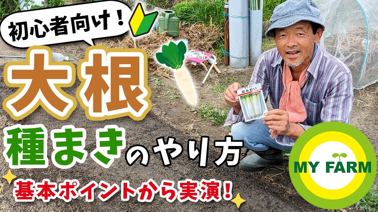 【大根栽培】種まきのやり方を初心者の方向けに解説＆実演します│有機栽培で野菜づくり - YouTube
