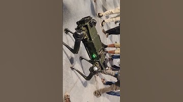 Robotic Dog At IIT kanpur #shorts #tech #fpv #drone #rap #dronetech