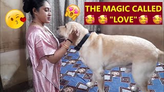 COCO GOT SICK, BUT, MUMS LOVE FIX UP COCO RIGHT AWAY | WATCH THE LOVE BETWEEN MUM AND COCO....