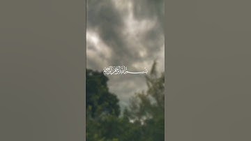 سورة الإخلاص بصوت القارئ سعد الغامدي. #سعد_الغامدي #القرآن_الكريم #سورة_الإخلاص
