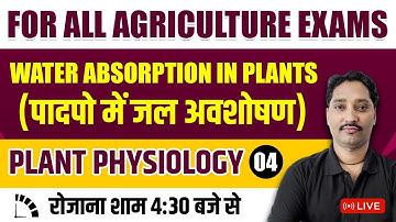 #Plant_Physiology | पादप कार्यिकी  L-4  Water Absorption In Plant  || For All Agriculture Exams