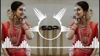 main Raja 🌷tu Rani Ho love🌹 DJ remix song🎵🔊aisi Prem kahani Ho  dj  all music sdp exported