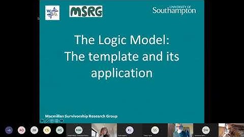 Developing a Logic Model/Theory of Change masterclass