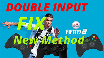 FIFA 19 Double Input FIX