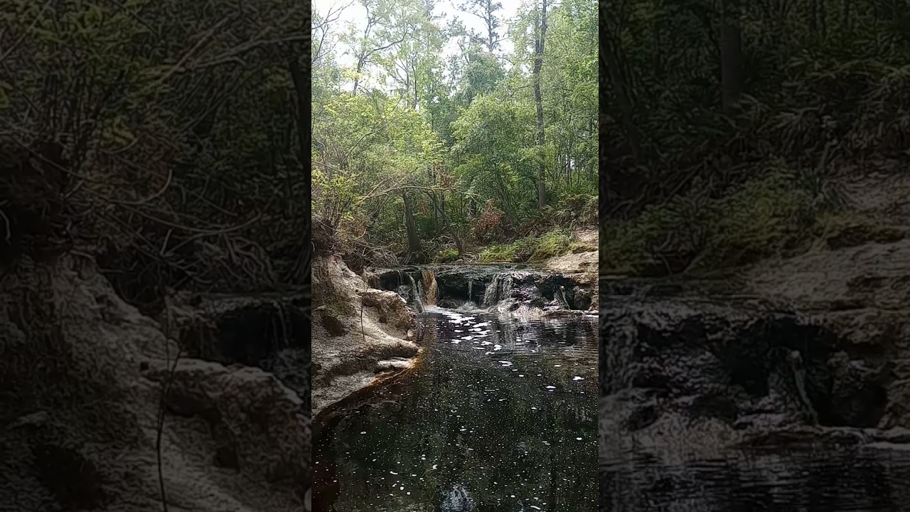 Robinson Branch Falls