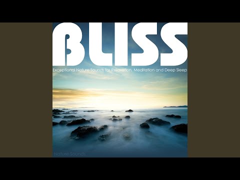 Ocean Waves - Calm Ocean Sounds; A Natural White Noise