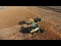 2020 Corn Harvest (drone)