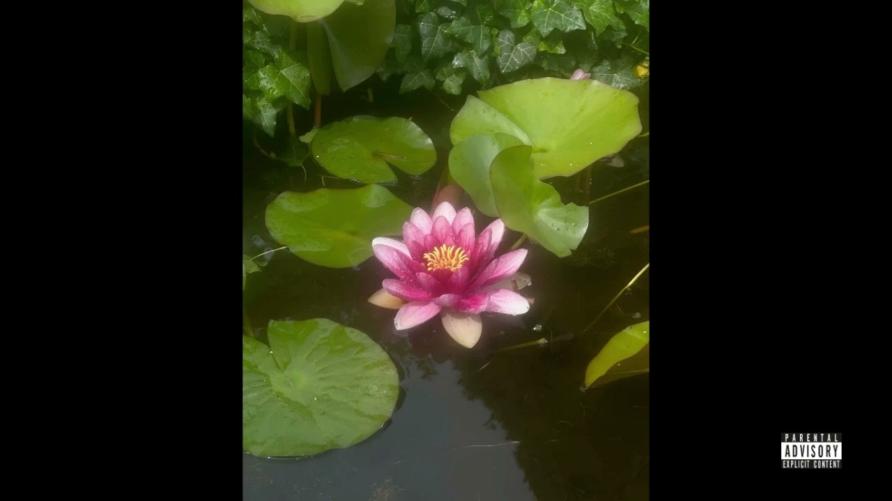 [free] fakemink type beat - step