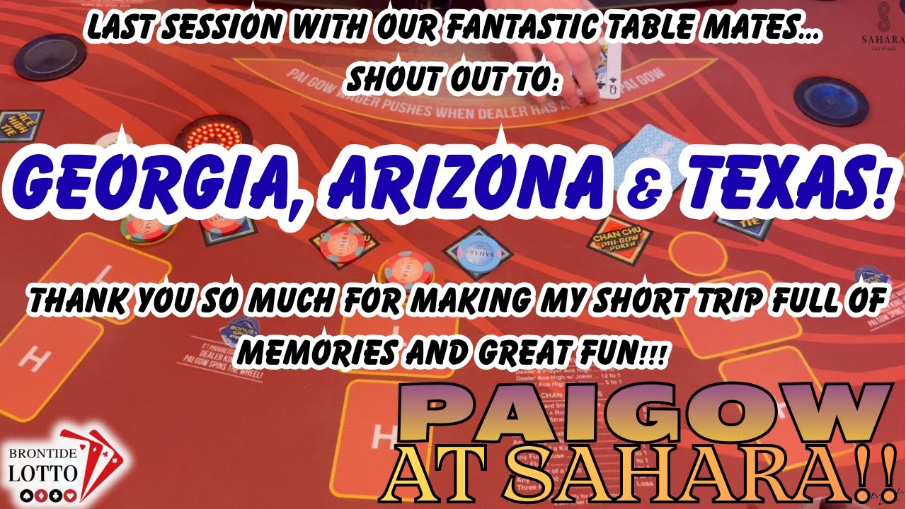 ПОСЛЕДНЯЯ СЕССИЯ В ИЮЛЕ 2025 ГОДА! ОГРОМНОЕ СПАСИБО МОИМ СОСЕДЯМ ЗА СТОЛ, ВЫ БЫЛИ ПРЕКРАСНЫ!