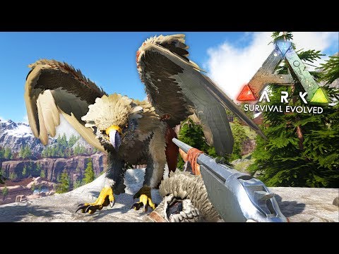 Ark Survival Evolved Griffin Taming Ark Ragnarok Gameplay - roblox zoo tycoon ep1 our first animal is a vulture