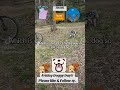 Friday Doggy Day!!!! #happy #duet #homeless #family #automobile #helpless #giving #backcountry #dog