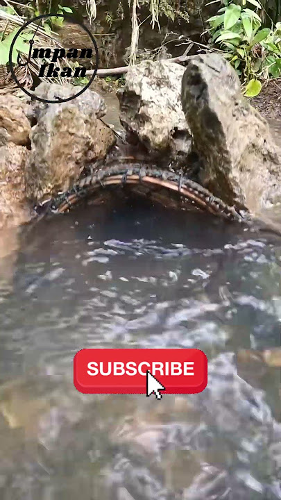 Selain mancing, biasanya kamu nangkap ikan pakai cara apa