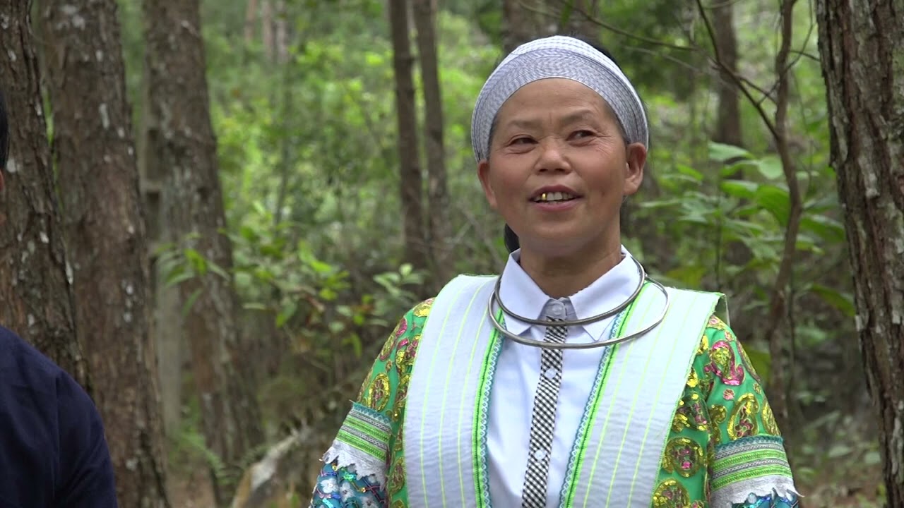 kwv ntxiaj ntuj tshiab