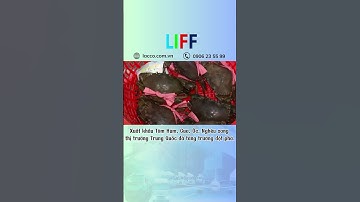 Xuất khẩu thủy hải sản sang Trung Quốc tăng trưởng mạnh | Lacco logistics #lacco #tintuc #forwarder