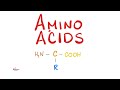 Amino Acids (Part 2) | Classification | Biochemistry MCAT