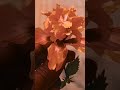 cenamatic shot #vlog #viral
