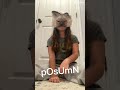 A hooman called me a possum.😭😡// #therian  #viral  #cat  #fypシ゚viral  #fypシ