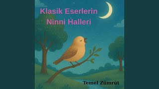Beethoven - Silence - Temel Zümrüt