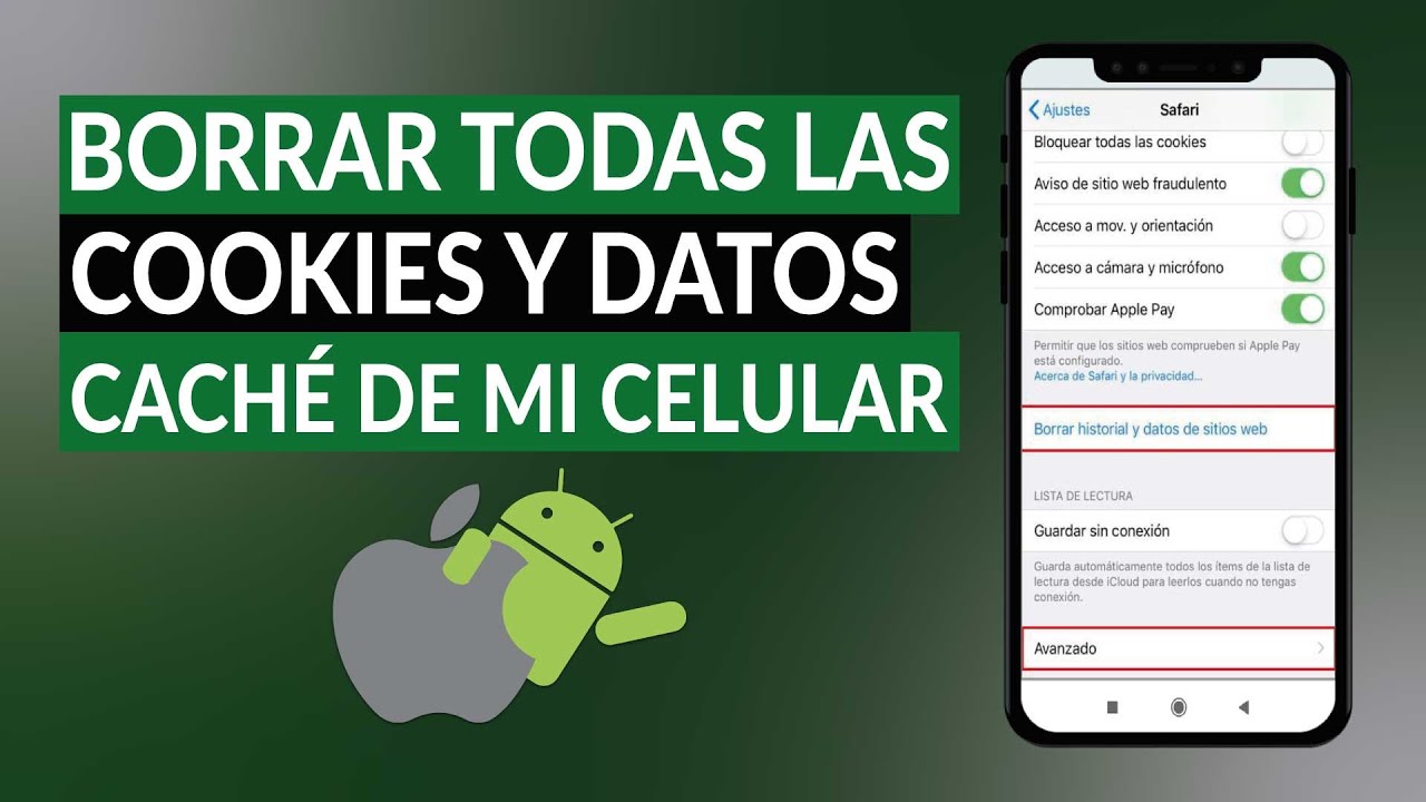 Marinero lógica Circular ¿Cómo Borrar Todas las Cookies y Datos Caché de mi Celular? - Android e  iPhone - YouTube