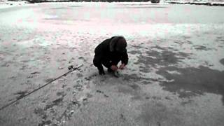 DSCF0204.avi