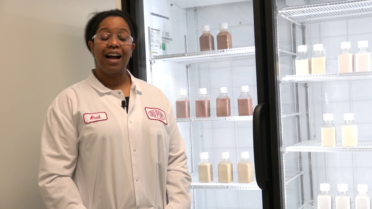 Formulating with Soy Protein | DuPont Nutrition & Health