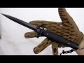 Video review Bellum Daga by "FOX Knives Military Division".