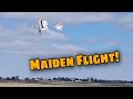 Watch My Exciting Maiden Flight of the E-flite Slow Ultra Stick 1.2m! ✈️