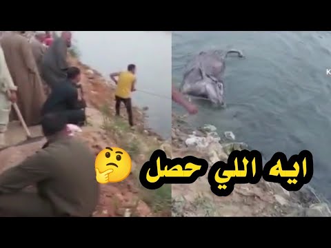 احرس القصب بالقصب ياكنج بيقولك عم احمد منير وربنا يعوض عليك انت واخد عين بنت