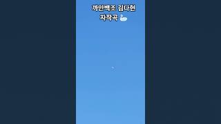 김다현 자작곡 까만백조 🦢 #김다현 #까만백조 #진소리 #감성트롯발라드 #신곡 #응원가 #shorts
