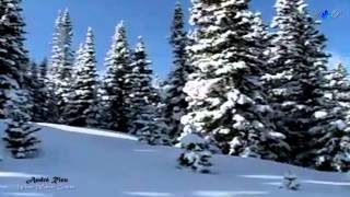 Miniatura del video "André Rieu - When Winter Comes"