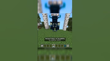 When I use invisible portion on Mobs #shorts