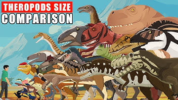 Theropods Dinosaurs Walking Size Comparison