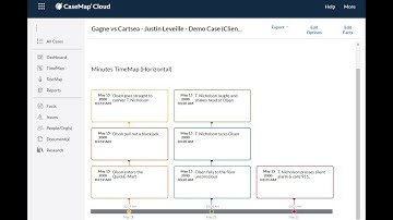 CaseMap Cloud - TimeMap