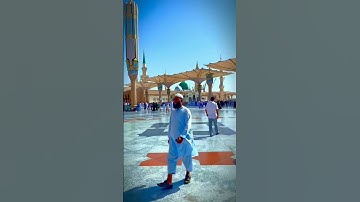 تلاوة جميلة // بصوت الشيخ ماهر المعيقلي ❤️😴