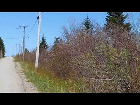 27 Deep Cove RD, Eastport, ME home video tour