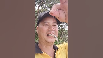 Thật Bất Ngờ Câu Được Con Cá Rất Bé ! #CaoBang#Yeu#Thuong