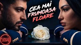 💔 Cea mai frumoasa floare ❌ Taraful lui Mafian ❌ SONIA (Mix Hituri 2026)