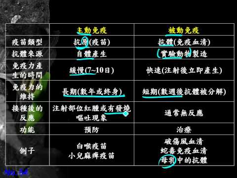 12 2 23主動免疫與被動免疫比較表格三廉